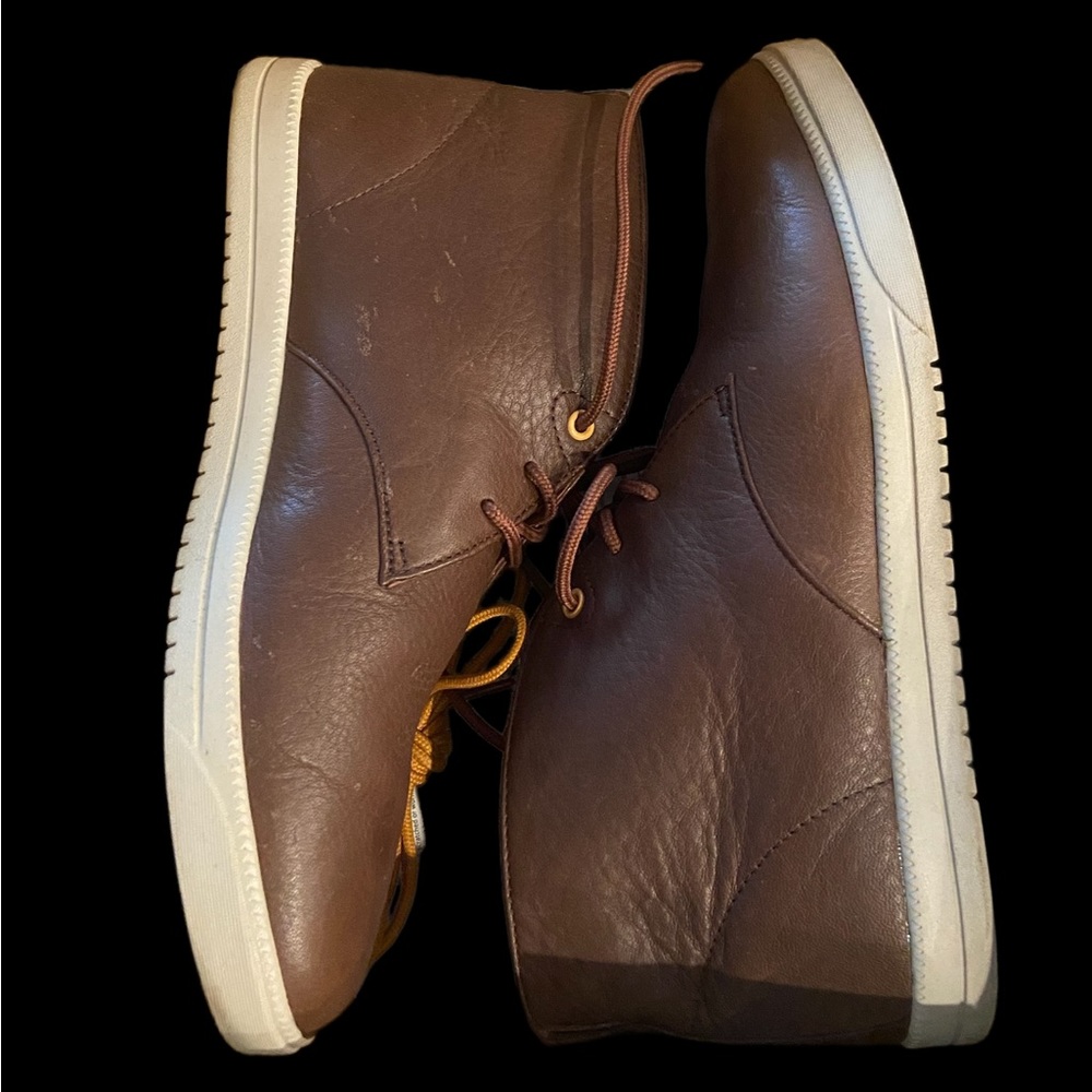 Clae stray horn